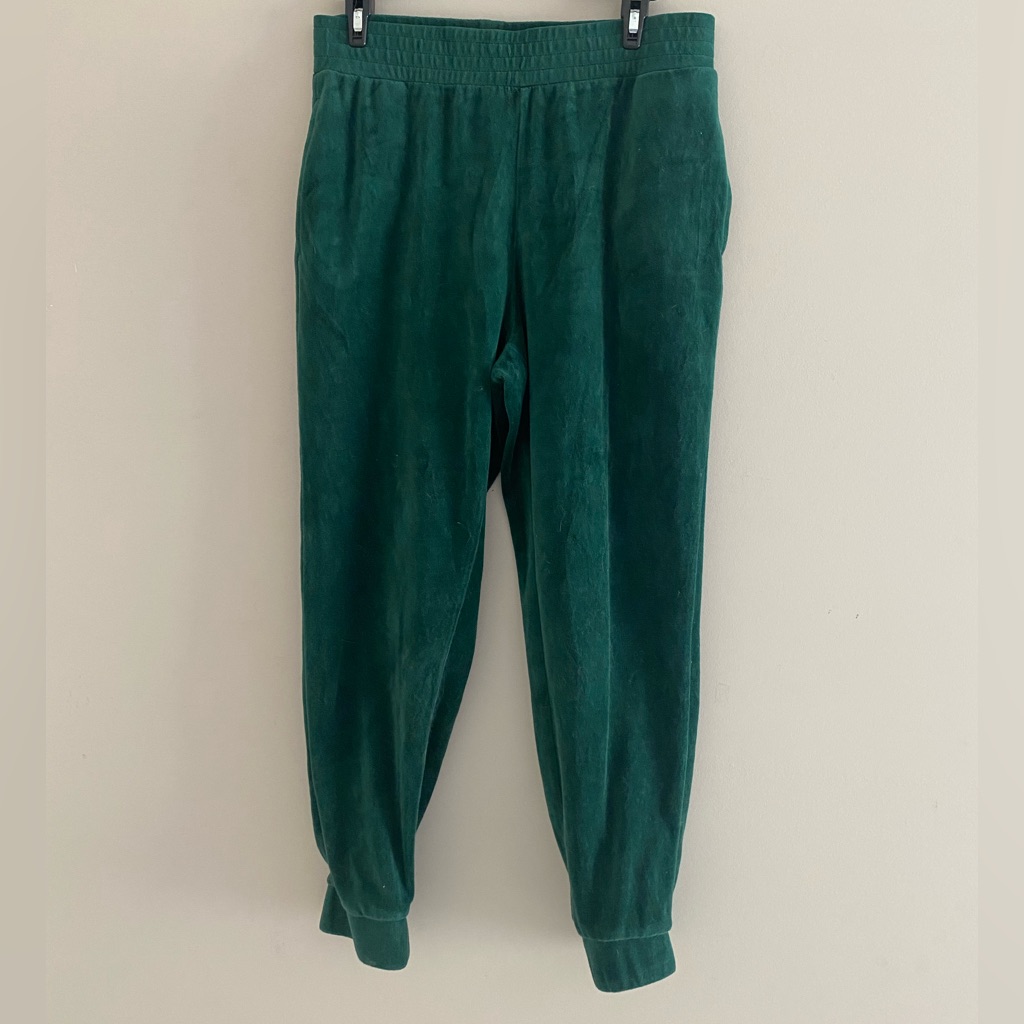 Green Wild Fable Velvet Joggers